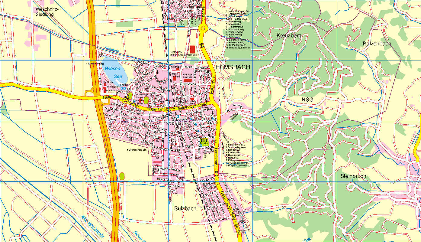 Hemsbach Stadtplan